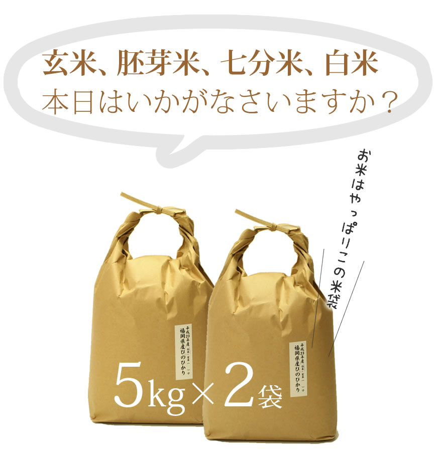 米 特別栽培米ひのひかり [一等米][特A米]福岡県産 10kg[5kg×2][令和5