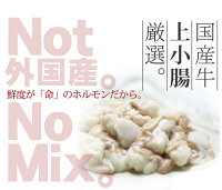ホルモン鍋もつ
