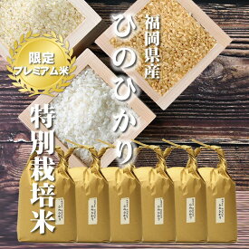 米 九州のお米 特別栽培米ひのひかり [一等米][特A米]福岡県産 30kg[5kg×6][令和5年産] 玄米、胚芽米、分づき米、白米まで。分つき米は健康米。高級な特Aの1等米ヒノヒカリ30キロ（5キロ毎に分づき承ります）出荷日精米 【送料無料（一部地域を除く）】 お祝い