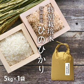 【新米】お歳暮ギフト 特別栽培米 低農薬・低化学肥料栽培の ひのひかり 5kg[5kg×1] 令和7年 福岡県産 選べる分づき [玄米 分づき米 胚芽米 白米]単一原料米 の 特栽米 を 出荷日精米 お祝い プレゼント ギフト 景品 贈り物に