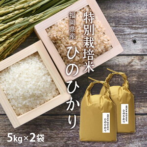 nEBMtg ʍ͔| _Eቻw엿͔| Ђ̂Ђ 10kg[5kg×2] ߘa6N Y Iׂ镪Â [ Â  ]Pꌴ  ͕  oד j v