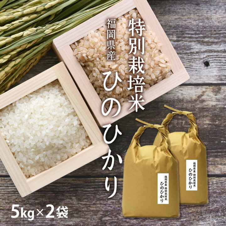 楽天市場】特別栽培米 低農薬・低化学肥料栽培の ひのひかり 10kg[5kg 