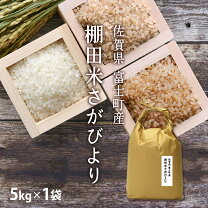 楽天市場】さがびより 玄米 30kgの通販