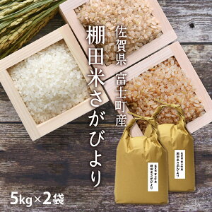 yVāzΕ  Ic т [A] 10kg[5kg×2]ߘa7NY ꌧxmY Iׂ镪Â [ Â  ] oד j v[g Mtg ii 蕨