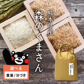 【新米】お歳暮ギフト お米 森のくまさん [特A米] 令和7年 熊本県産 選べる重量と分づき [2kg/5kg/10kg] [無洗米 玄米 分づき米 胚芽米 白米] 親は コシヒカリとヒノヒカリの 単一原料米 出荷日精米 お祝い プレゼント ギフト 景品 贈り物に