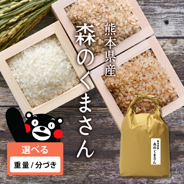 米 熊本県産 森のくまさん 出荷日精米 令和7年産 2kg・5kg・10kgから選択 選べる精米 玄米・分づき米・胚芽米・白米 単一原料米 敬老の日ギフト