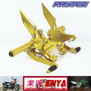 RAYTEC Z900RS �o�b�N�X�e�b�v