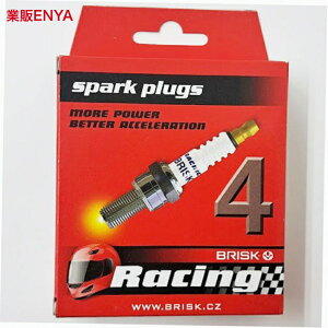 BRISK �u���X�N �v���O DOR12LGS ×1�{