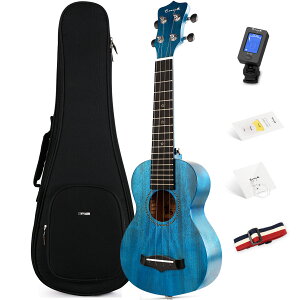 yZ[ 15%OFF 9/21܂Łz\vm EN S҃Zbg Enya EUS-25D G EN  Zbg}zKj[P ؖ tiFP[X `[i[ sbN ւ Xgbv