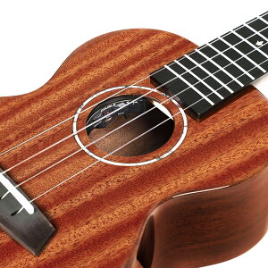 Enya EUT-MAD EQ �G���� �E�N���� �e�i�[�T�C�Y�E�}�z�K�j�[�E�I�[���P�EB1U�s�b�N�A�b�v�t�� ���S�҂ƒ��㋉�Ҍ����E�`�^�����E ���i���̖Ȃ̃P�[�X�t���E���i�㔭���ň��S