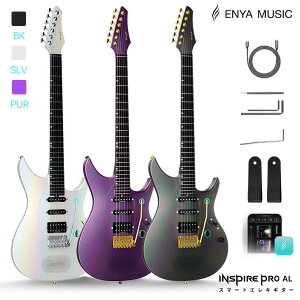 �y8,000�~�N�[�|���z�z���zENYA INSPIRE PRO AL 39�C���` �X�}�[�g�G���L�M�^�[ 20W�����X�s�[�J�[ �J�[�{���t�@�C�o�[ APEX LAB �s�b�N�A�b�v����