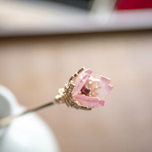 Q  񂴂 wAANZT[ hX \ a m 