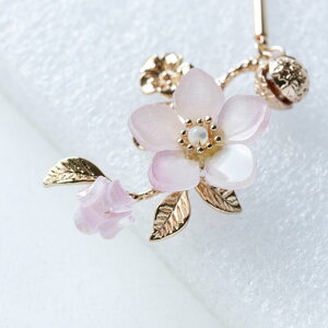 ̉Ԏ}̂񂴂   1{񂴂 wAANZT[ ̉ \ a m 