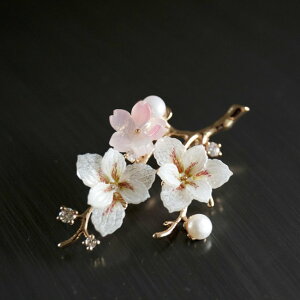 AXgA G߂̉ v vo Wp[  nhCh  u[` ANZT[