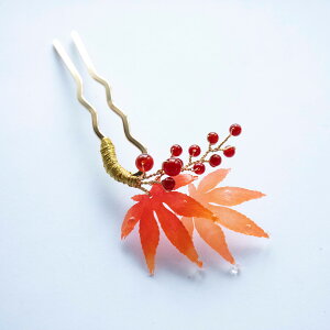 nhCh  us u 񂴂  wAANZT[ gtƐԂ̂񂴂 ݂ gt Ԃ VR v ~W Ă΂ p[eB[ ܎O hX \ a m 