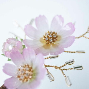 FIׂ RXX H  sN  v wAANZT[ 񂴂  u a m hX ߃nhCh  us u 񂴂  Ĥo