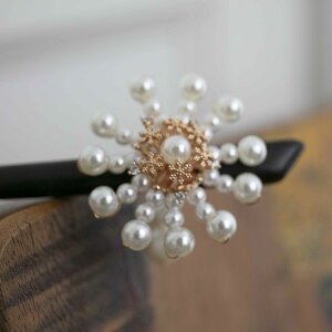 p[̐ጋ@wAs / 񂴂@p[@wAANZT[@ρ@ a m  ؐ nhCh  񂴂  wAANZT[ NX}X ~ o 1{