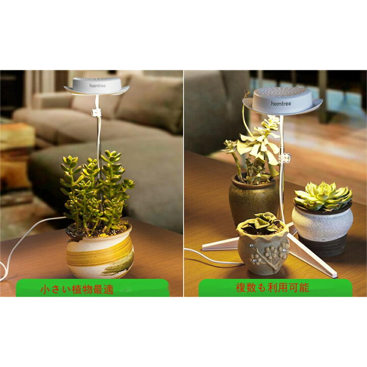 楽天市場】植物育成ライト LED 育成ライト 植物 育つ ライト 育苗 