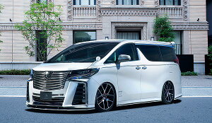 VNuCY tgbvX|C[Type-S Ver.2yhz30nAt@[h S/SA/SR zO[vI 摜Q