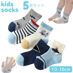 xr[\bNX C q LbY j̎q ̎q 5Zbg qǂ  킢 bV T  C̒ XgCv 5g u[ zCg ؍  ۈ牀 ct w 