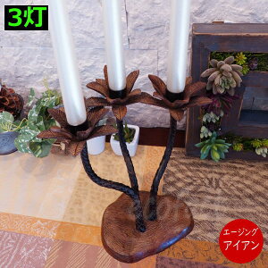 3 ACA p[Lhz_[ Lhz_[ LhX^h C Lh GCWO dグ 킢  V̖ E\N XC