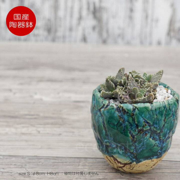 楽天市場】陶器鉢 植木鉢 ミニポット 底穴あり フォレスト（グリーン