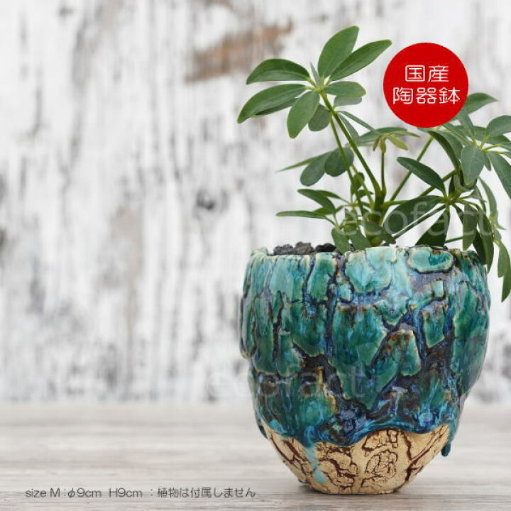 楽天市場】陶器鉢 植木鉢 ミニポット 底穴あり フォレスト（グリーン  