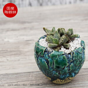 픫 Aؔ ~j|bg ꌊ tHXgiO[j S 8cm {   킢 v^[ | ϗtA AKx T{e rU[vc 򍪐A R[fb