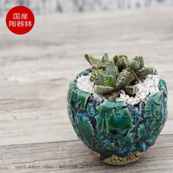楽天市場】陶器鉢 植木鉢 ミニポット 底穴あり フォレスト（グリーン