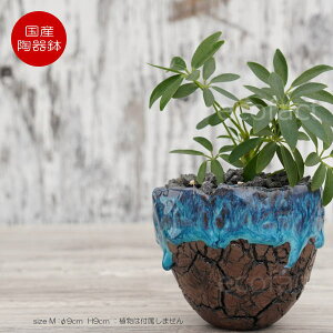 プランター おしゃれ 手作りの人気商品 通販 価格比較 価格 Com プランター おしゃれ 手作りの人気商品 通販 価格比較 価格 Com