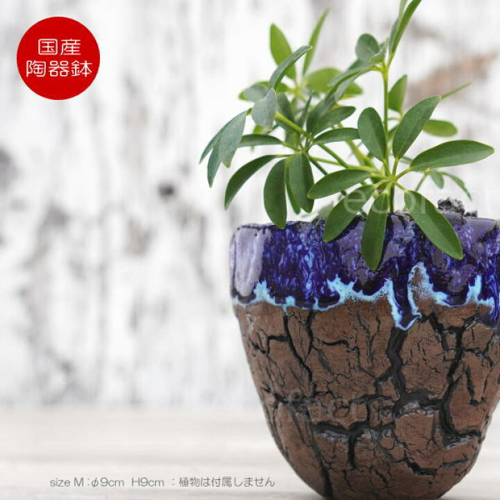 楽天市場】植木鉢 おしゃれ 陶器鉢 3号相当 小型 室内 底穴あり 底穴 