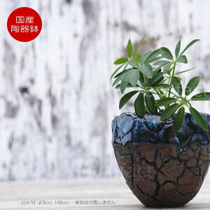 픫 Aؔ ~j|bg ꌊ CfBS Z M 9cm {   킢 v^[ | ϗtA AKx T{e rU[vc 򍪐A R[fbNX A