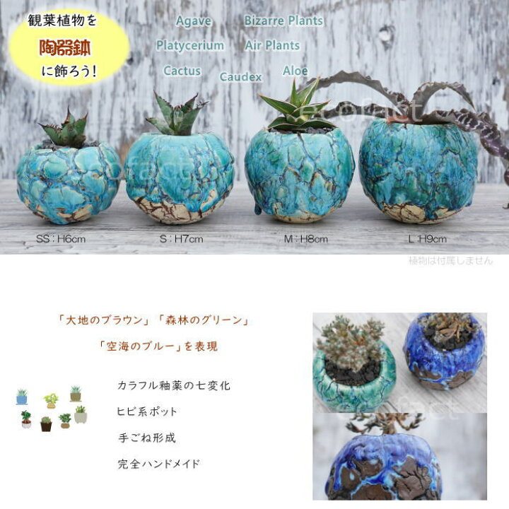 楽天市場】陶器鉢 植木鉢 ミニポット 底穴あり 丸型 フォレスト  