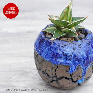 픫 Aؔ ~j|bg ꌊ ی^ I[Viu[j M H8cm {   킢 v^[ | ϗtA AKx T{e rU[vc 򍪐A R[fbN