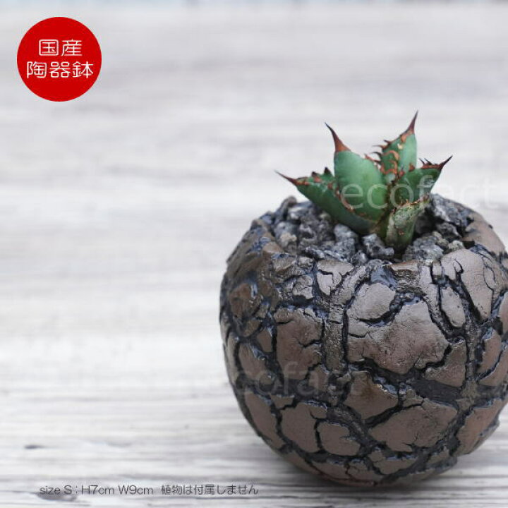 楽天市場】陶器鉢 植木鉢 ミニポット 底穴あり 丸型 アース（ブラウン