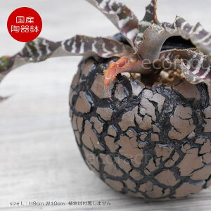 픫 Aؔ ~j|bg ꌊ ی^ A[XiuEjL H8cm {   킢 v^[ | ϗtA AKx T{e rU[vc 򍪐A R[fbNX 