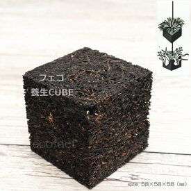 観葉植物 吊り下げ ハンギング 壁掛け フェゴ 養生 CUBE インテリア 園芸 雑貨 ヘゴ代用品 鉢 プランター 飾り 活着 園芸資材 吊り鉢 洋ラン バンダ エアプランツ デンドロビューム カトレア セッコク