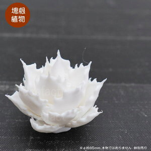 tFCNO[ 3D tBMA AKx `^m^ mg[ver. zCg  STCY 85mm I[ig  lHϗtA  ǌ`   ` 򍪐A R[fbNX A 