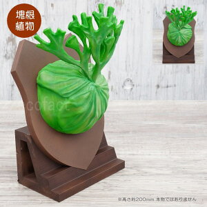 tFCNO[ 3D tBMA rJNV_ REuhCv ^Cv I[ig  lHϗtA ǌ`   ` 򍪐A R[fbNX A  K[fj