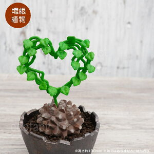 tFCNO[ 3D tBMA Tbn[g^ STCY 130mm LbREE I[ig  lHϗtA ǌ`   ` 򍪐A R[fbNX A  K[fjO 