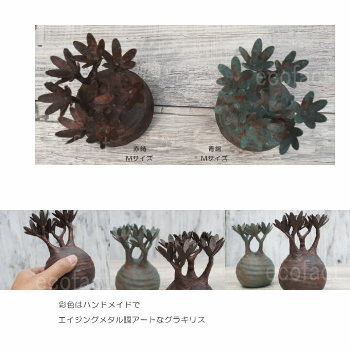 楽天市場】フェイクグリーン 3D フィギュア パキポディウム グラキリス 
