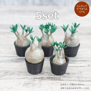 3D tBMA ~j`A 5Zbg A pL|fBE OLX tFCNO[ K`| K`K`  lHϗtA ǌ`   ` 򍪐A R[fbNX A 