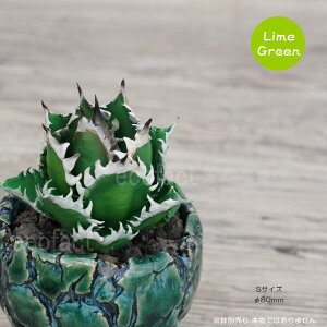 tFCNO[ 3D tBMA AKx `^m^ bhLbgEB[Y CO[ STCY 80mm I[ig  lHϗtA  ǌ`   ` 򍪐A R[fbNX 