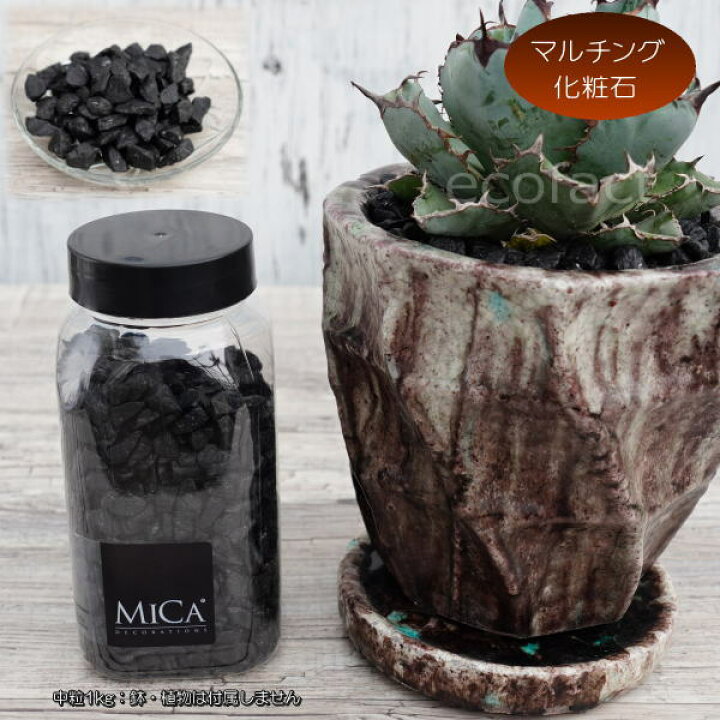 楽天市場 化粧石 黒 飾り石 中粒 約1cm 1 5cm 化粧砂 ブラック 艶少なめ 化粧砂利 観葉植物 マルチング ストーン アッシュグレイ ミカ 多肉植物 アガベ サボテン ビザールプランツ 塊根植物 コーデックス 植木鉢 ポット おしゃれ ガーデニング 大人の趣味空間