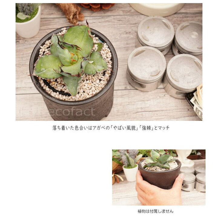 楽天市場 陶器鉢 植木鉢 4号 筒型 艶消し 黒 ブラック おしゃれ プランター 園芸鉢 かみ山陶器 信楽焼 観葉植物 アガベ サボテン ビザールプランツ 塊根植物 コーデックス 多肉植物 ポット 大人の趣味空間 楽天市場 陶器鉢 植木鉢 4号 筒型 艶消し 黒 ブラック おしゃれ プランター 園芸鉢 かみ山陶器 信楽焼 観葉植物 アガベ サボテン ビザールプランツ 塊根植物 コーデックス 多肉植物 ポット 大人の趣味空間