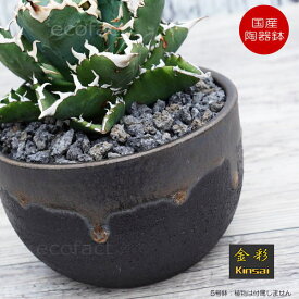植木鉢 おしゃれ 陶器鉢 5号 丸型 室内 底穴あり 金彩 ゴールド/ブラック φ15cm かみ山陶器 信楽焼 プランター 園芸鉢 アガベ サボテン 多肉植物 塊根植物 コーデックス