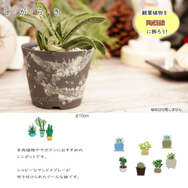 楽天市場 陶器鉢 植木鉢 小鉢f10cm Miyabi1 ブラック 黒 おしゃれ プランター 園芸鉢 信楽焼 しがらきやき かみ山陶器 観葉植物 アガベポット 大人の趣味空間 楽天市場 陶器鉢 植木鉢 小鉢f10cm Miyabi1 ブラック 黒 おしゃれ プランター 園芸鉢 信楽焼 しがらきやき かみ山陶器 観葉植物 アガベポット 大人の趣味空間