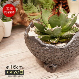植木鉢 おしゃれ 室内 陶器鉢 小型 5号相当 受け皿付き 足付き RAIZO2 φ16cm ガンメタリック 黒 かみ山陶器 信楽焼 プランター 園芸鉢 アガベ サボテン ビザールプランツ 塊根植物 コーデックス