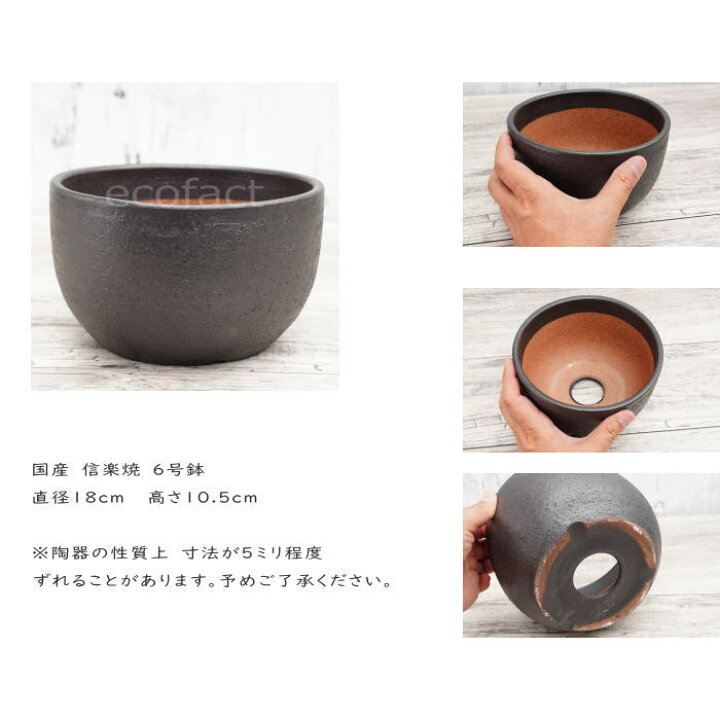 楽天市場】陶器鉢 植木鉢 6号 丸型 艶消し 黒 ブラック おしゃれ 