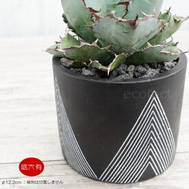セメント鉢 植木鉢 ミニポット 底穴ありレオブラックL 黒 φ12.2cm おしゃれ かわいい プランター 園芸鉢 観葉植物 アガベ サボテン ビザールプランツ 塊根植物 コーデックス 多肉植物